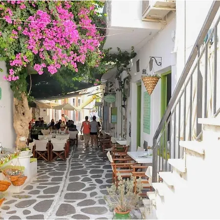 Livadia Seaside 8 Guest house